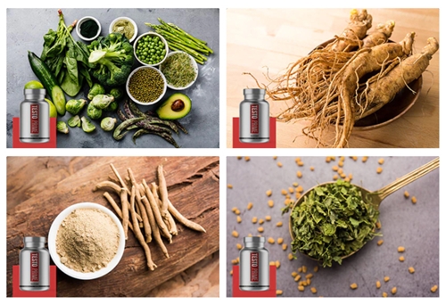 Testo Prime Review Ingredients